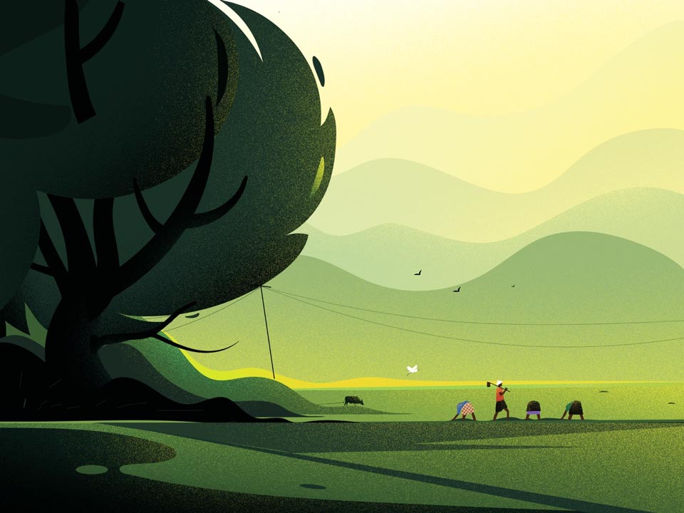 cours illustrator